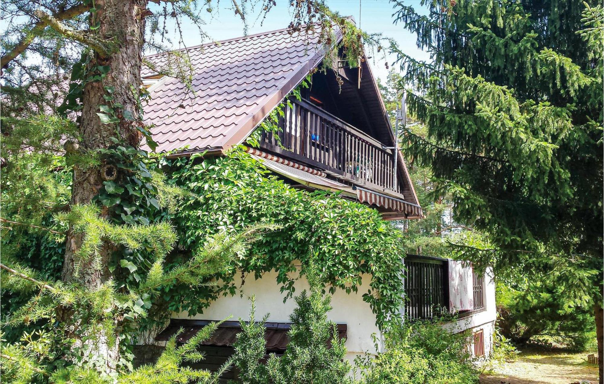 3 Bedroom Stunning Home In Dziemiany Экстерьер фото